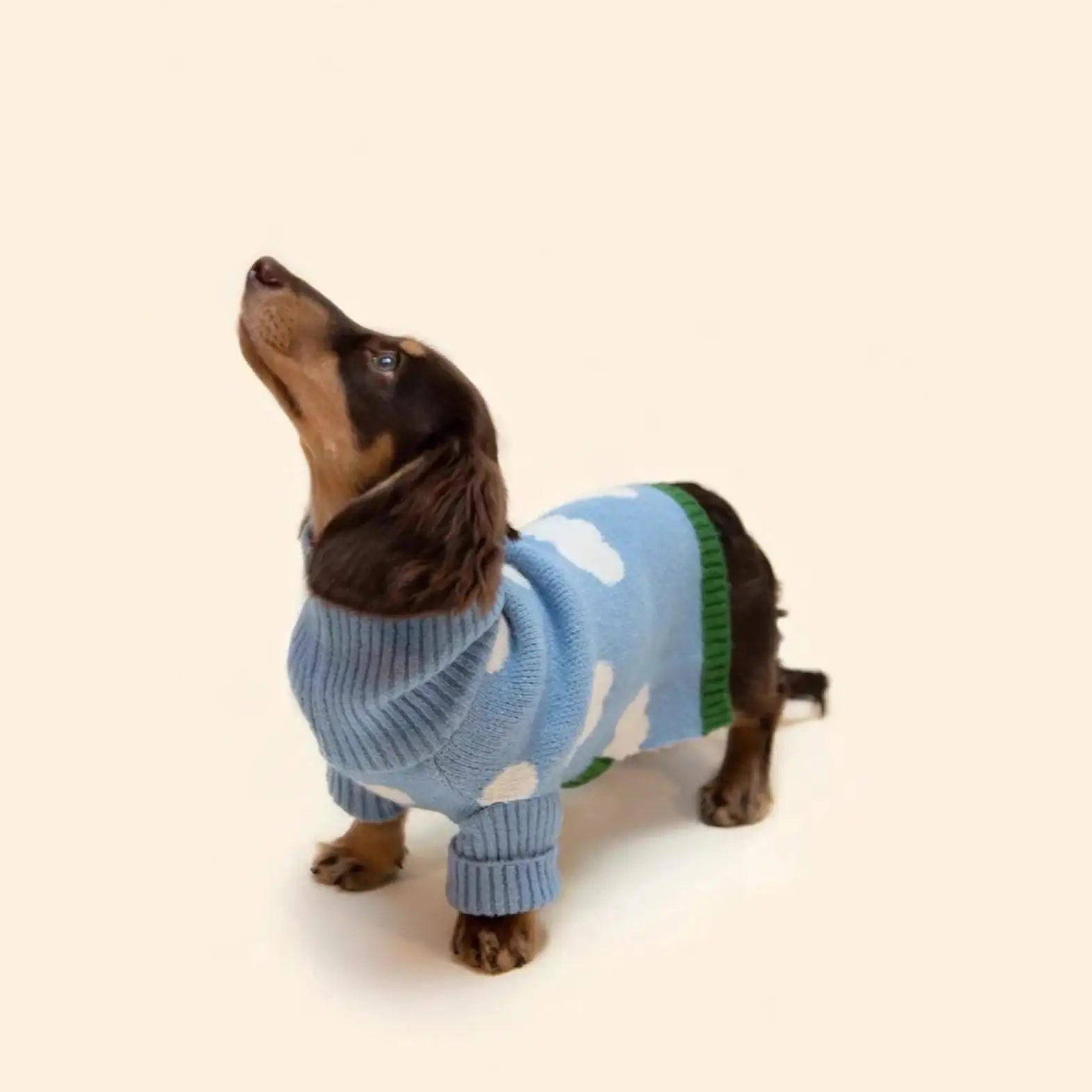 Kleidung für Wiener Hund, Plüsch-Wollmantel, warmer Pullover für Dachs, Hundekleidung, Winter-Outwear für Dackel, kleine Hunde, Haustierprodukte – Detail 2
