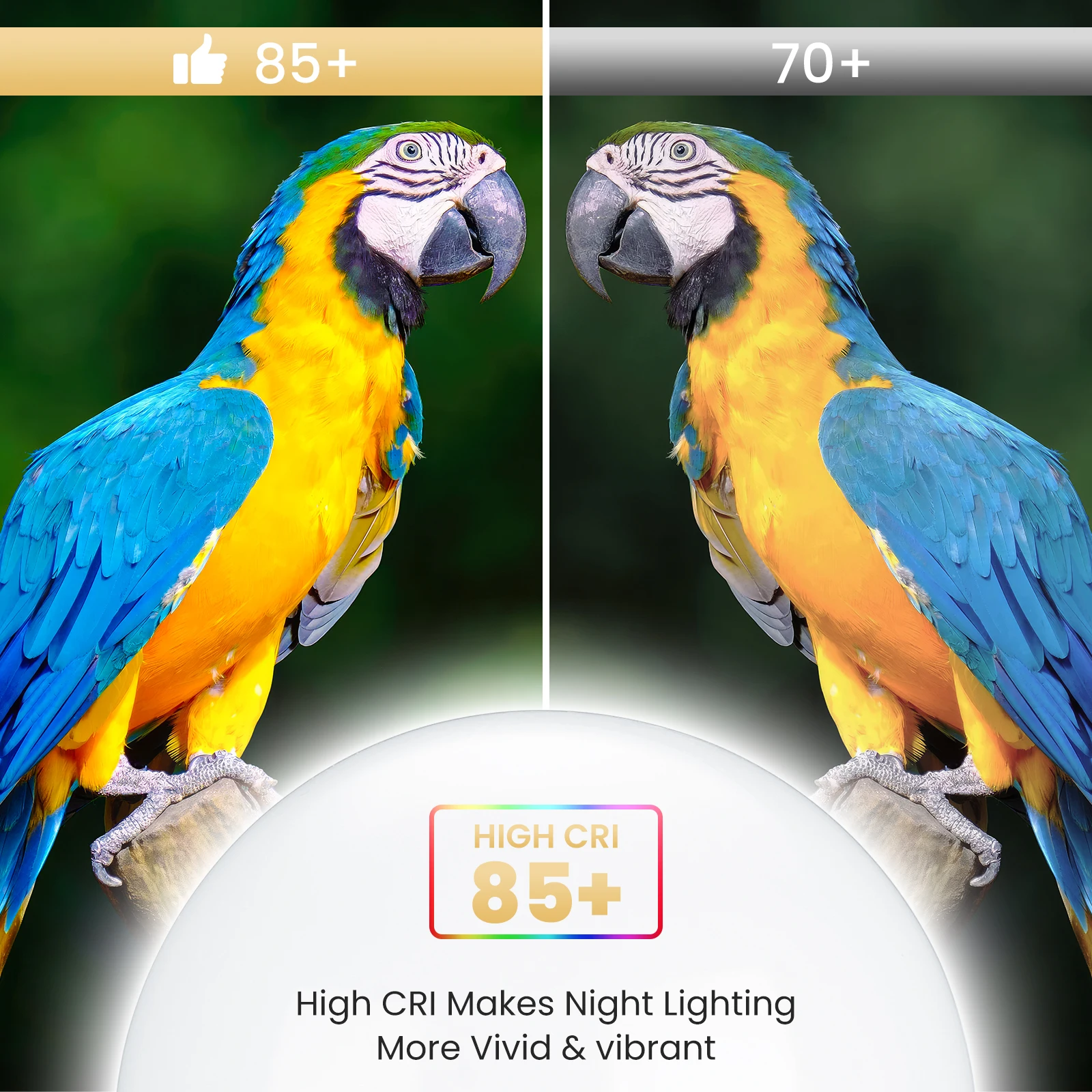 Nooknova Radar Motion Sensor Light Bulbs A60 100W Equivalent 5W 7W 9W 12W Motion Detector Auto Activated Dusk to Dawn LED Bulb