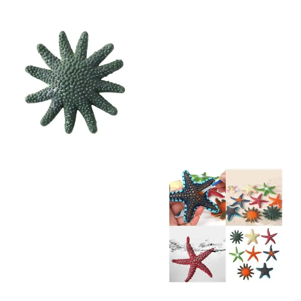 8 -stcs Ocean Animal Dive Toy Star Fish Figurine Set voor onderwaterspel Party Educatieve tool Beach Play Activity Toy L8RB