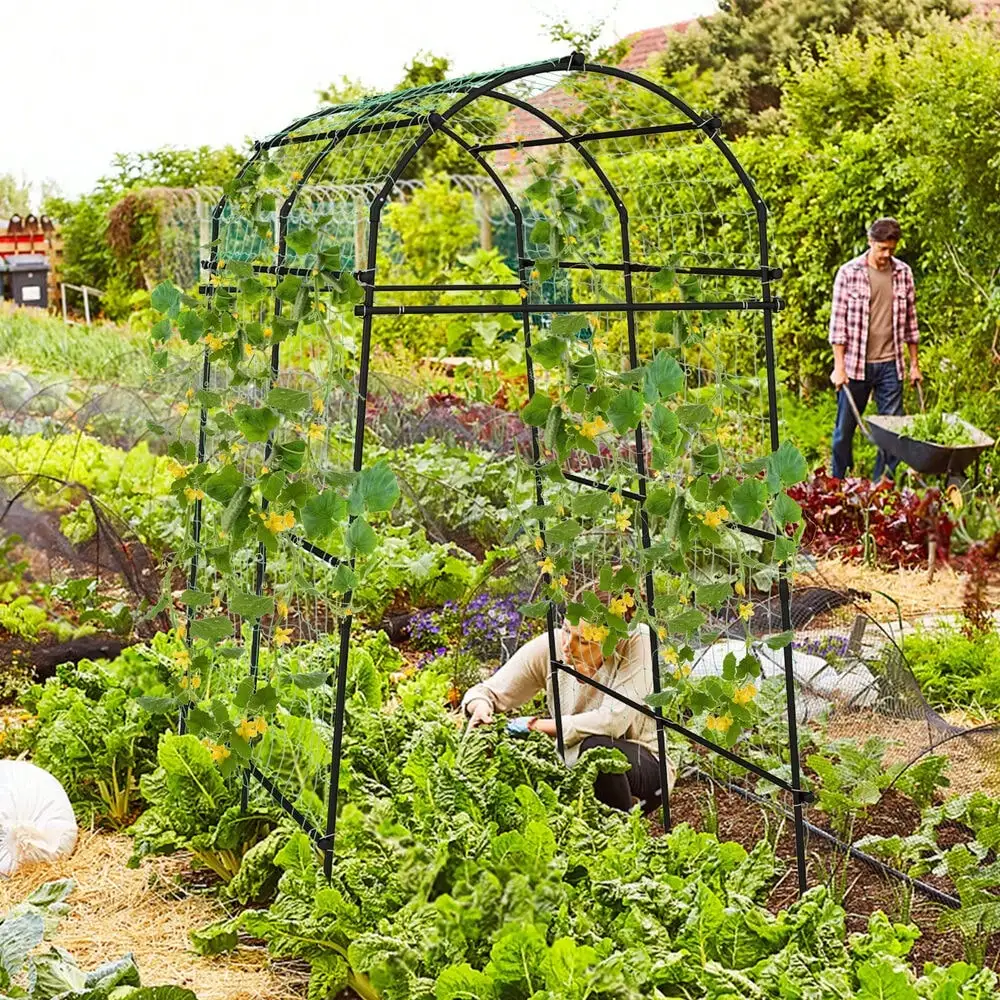 Arche de jardin en treillis pour plantes d'extérieur, support d'arche pour fleurs de vigne grimpantes