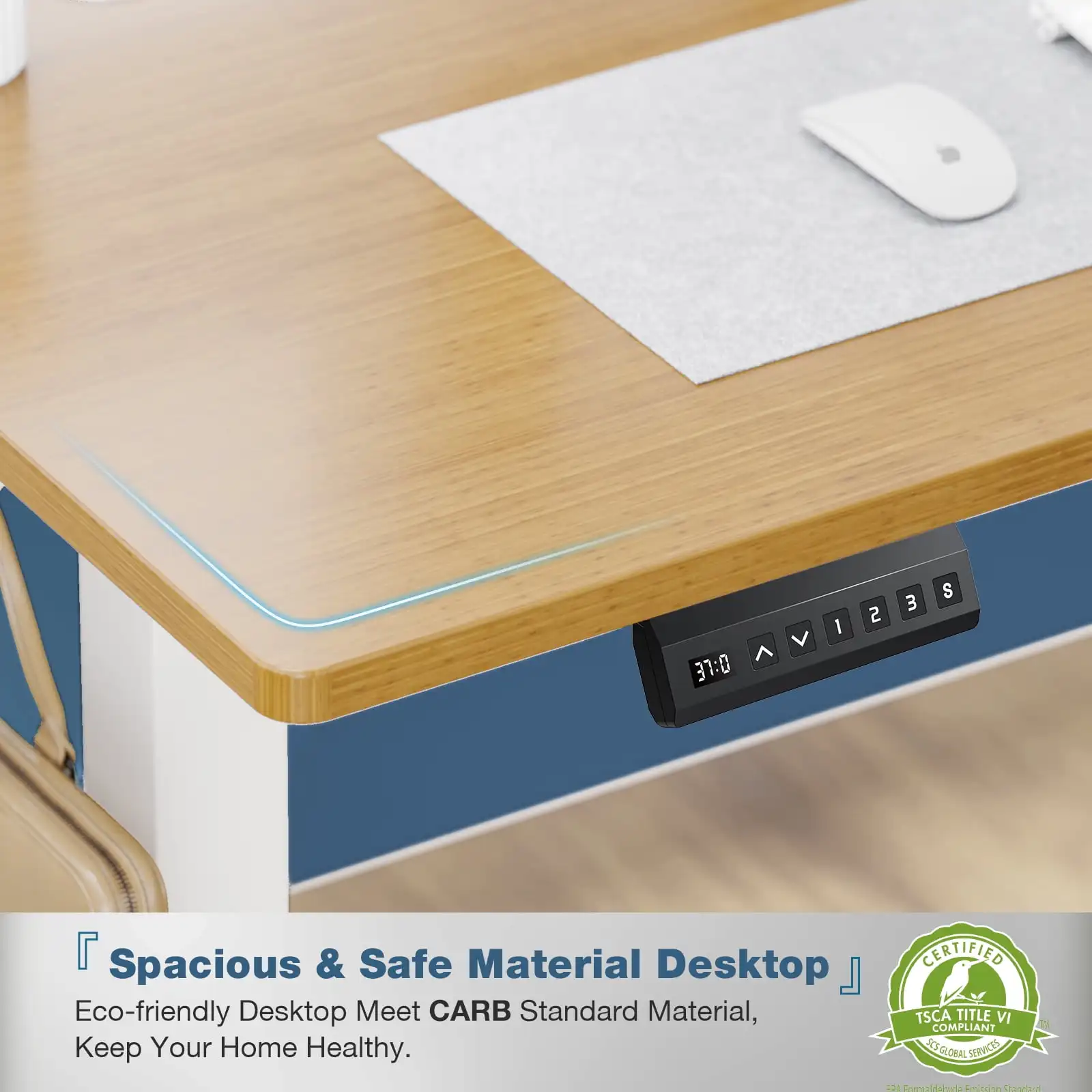 Electric Standing Desk, Height Adjustable Desk, 48 x 24 Inches Ergonomic Stand up Desk with Memory Preset for Home Office