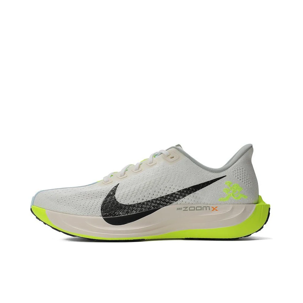 NIKE Nike 2024 Men's PEGASUS PLUS Running HQ3451-101