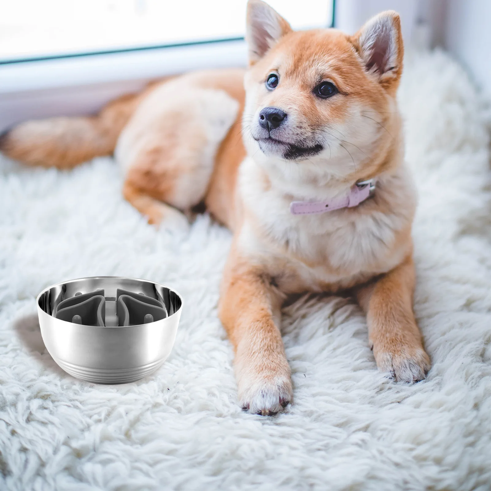 

Slow Feeding Dog Bowl Silica Gel Insert Puppies Anti-choking Compact Wet Dry Food Proper Digestion Pet Supplies
