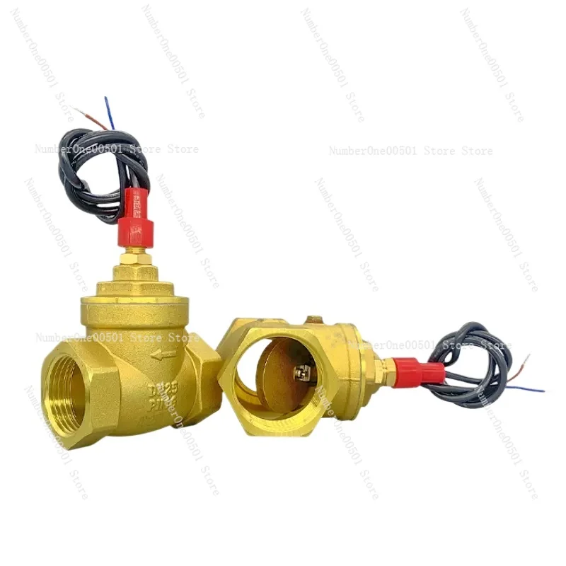 

Water Flow Sensor Signal Flow Switch DN40 1.5 Inch High Temperature Baffle Type