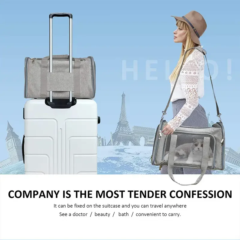 Thumbnail 4 - #8 Newest Pet Carriers