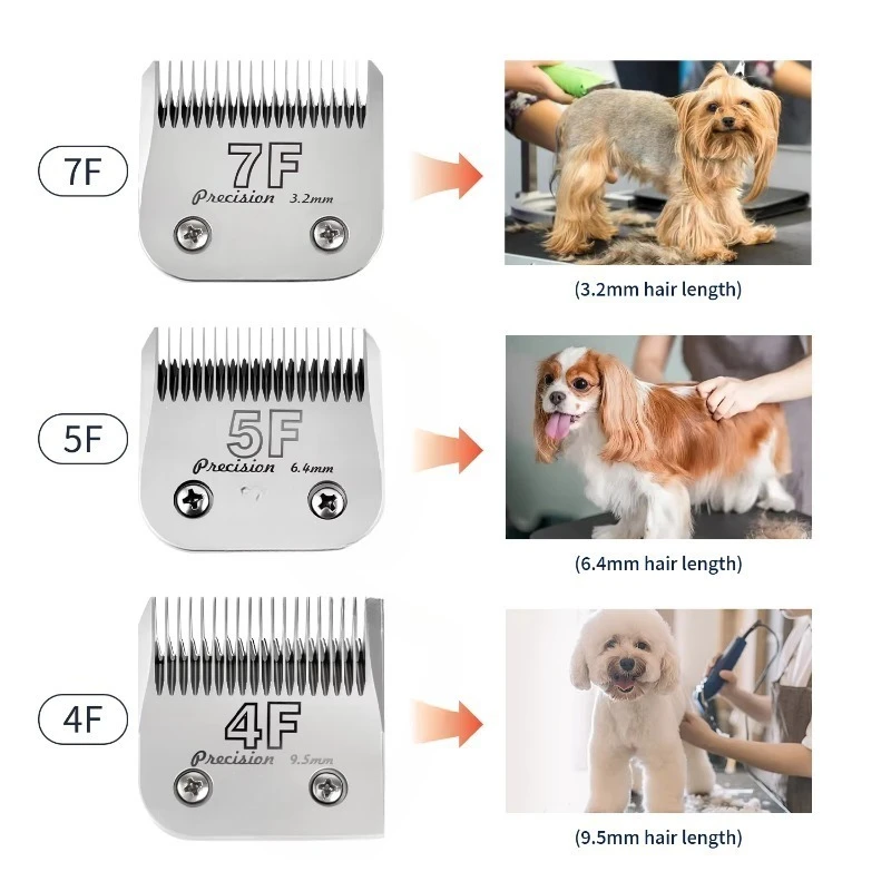 A5 Clipper Blades 10# 30# 40# 3F 4F 5F 7F Dogs Pet Hair Cutting Replacement Blades Professional Detachable Blade Dog Grooming view 4