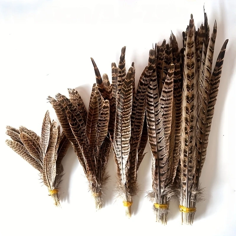 10/30/50pcs Natural Pheasant Feathers Female Tail Feathers Female Forest-neck Chicken Tail Feathers Natural Feathers