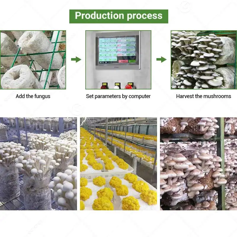 In Shipping 40ft Container Farm Price 40 Foot Bag Cabins Smart Mushroom Grow Box Growing customize