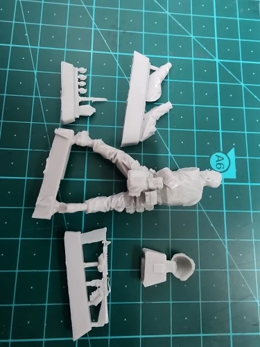 Buyer photo of this resin kit
