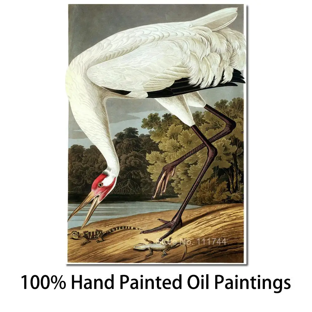 

Animals Art Paintings Birds Of America Whooping Crane By John James Audubon Canvas Replicas Handmade High Quality Home Decor