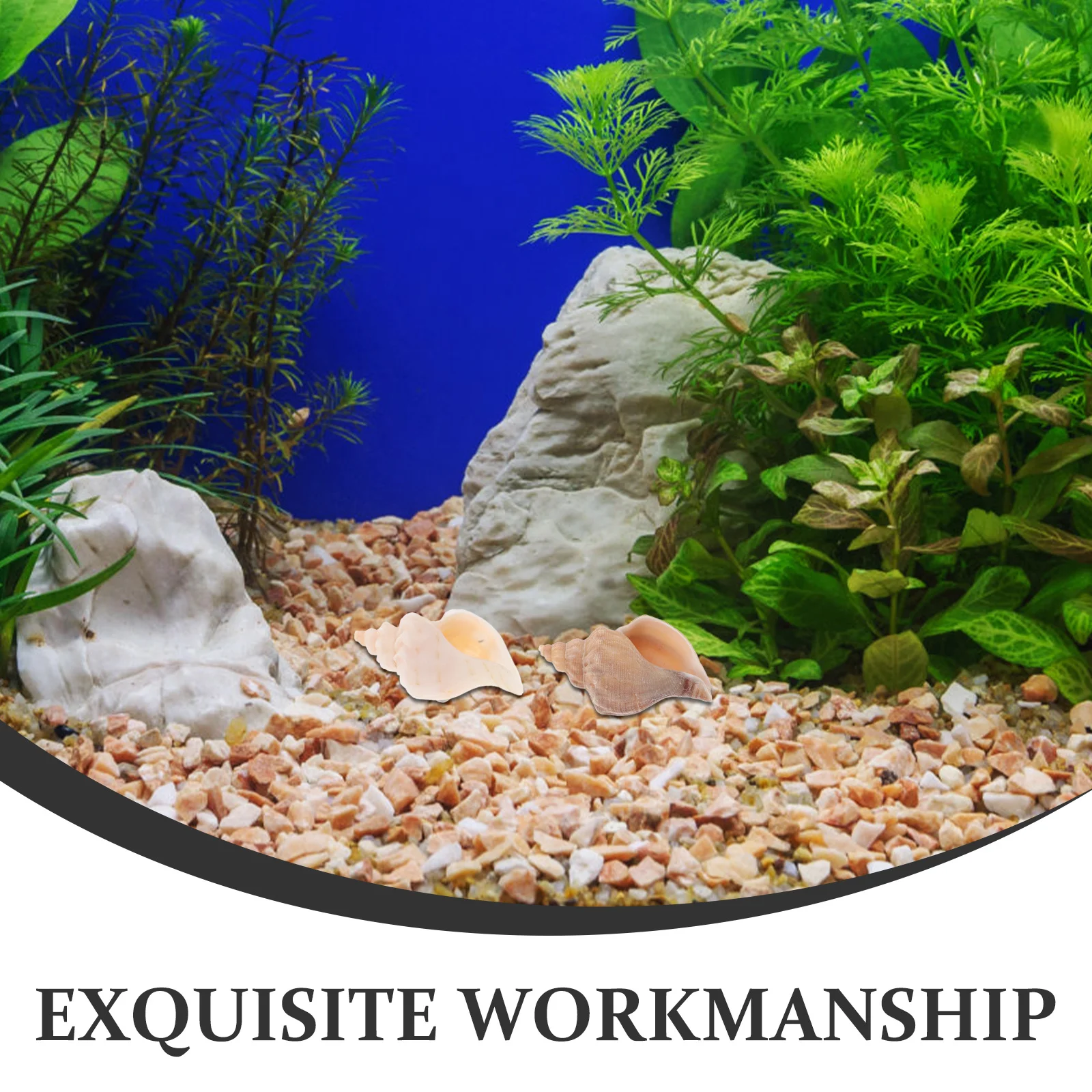 6Pcs Natural Snail Shells for Aquarium Home Shell Hermit Crab Replacement Fish Tank Decor Coastal Decor Living Room Desk - Image 5