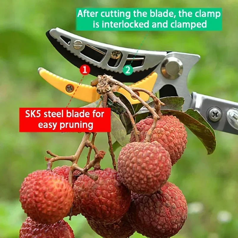 Telescopic Fruit Picker High-altitude Tree Branch Scissors Adjustable Garden Fruits Collector Tool Professional Farming Supplies