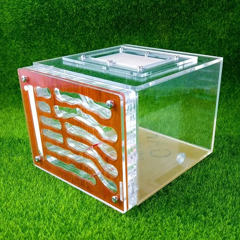 

Acrylic Large Moisturizing Ant Nest Acrylic Plaster Insect Habitat