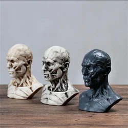10cm Human Muscle Head Mannequin Carving, Still Life Drawing, Reference Skull Model, Artistic Bust, Landscaping M01009