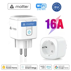 16A Matter WiFi Smart Socket Home Appliance Mini Smart Plug Adapter APP Control Timer Works with HomeKit Siri Alexa Google