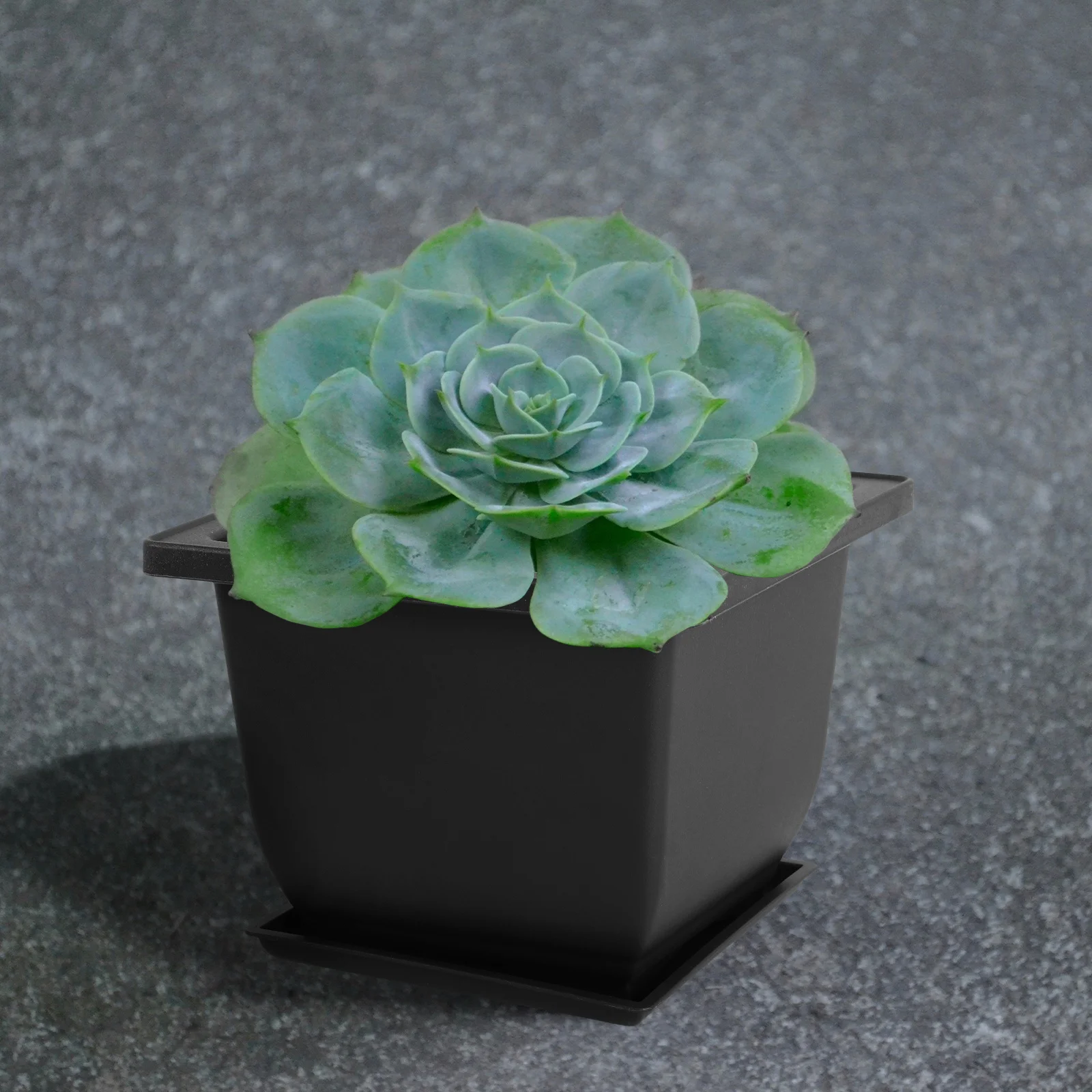 

5 set Flowerpots 5 Sets Decorative Planting Pots For Succulents Cactus Bonsai Indoor Plants Stylish Potted Containers