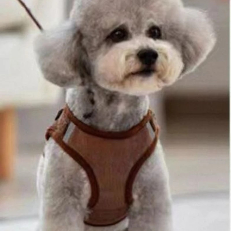 

Товары для домашних животных Нагрудный ошейник для собак Нагрудный ремень для домашних животных Тедди Bigbear Жилет Поводок Тактический жилет Товары для домашних животных Ремни для щенков собак