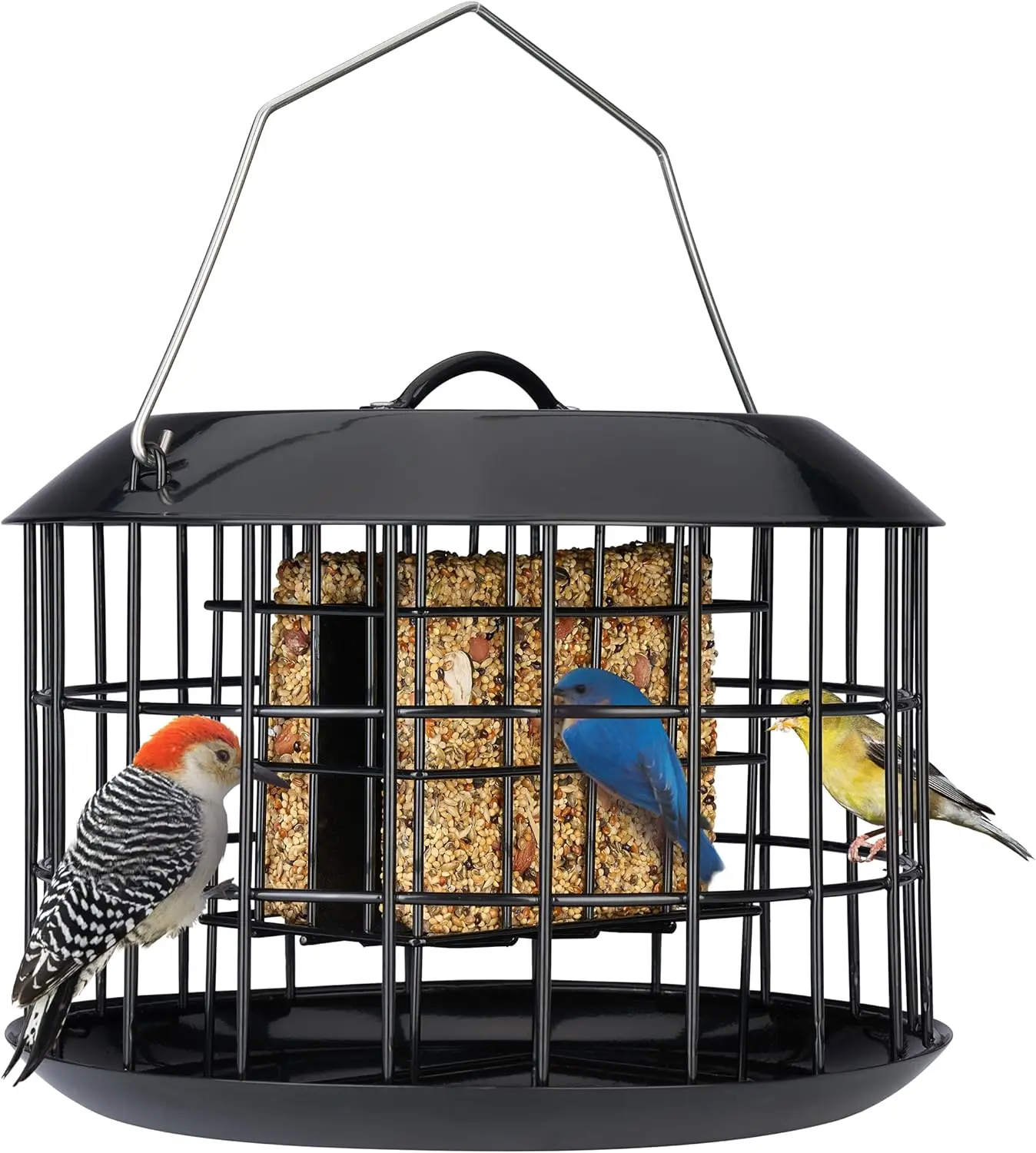 

Squirrel Proof Suet Feeder, Cage Bird Feeders for Outdoors Hanging, All Metal, Double Suet Cake Capacity, Tray & Weatherproof, B