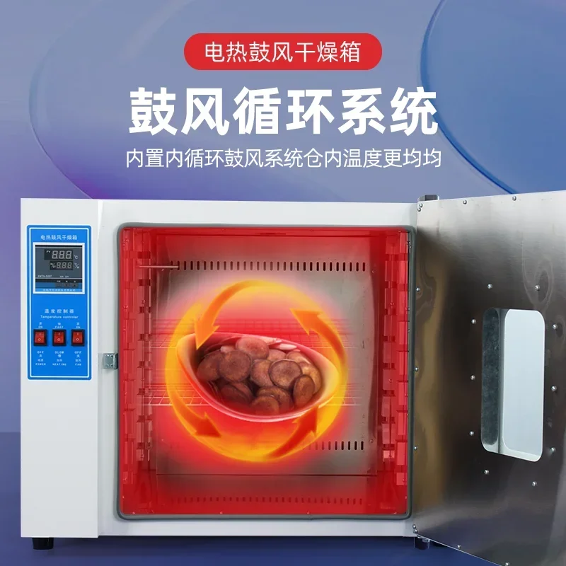 Electric Thermostatic Blast Drying Oven Laboratory Test High Temperature Automotive Headlight Industrial Drying Machine