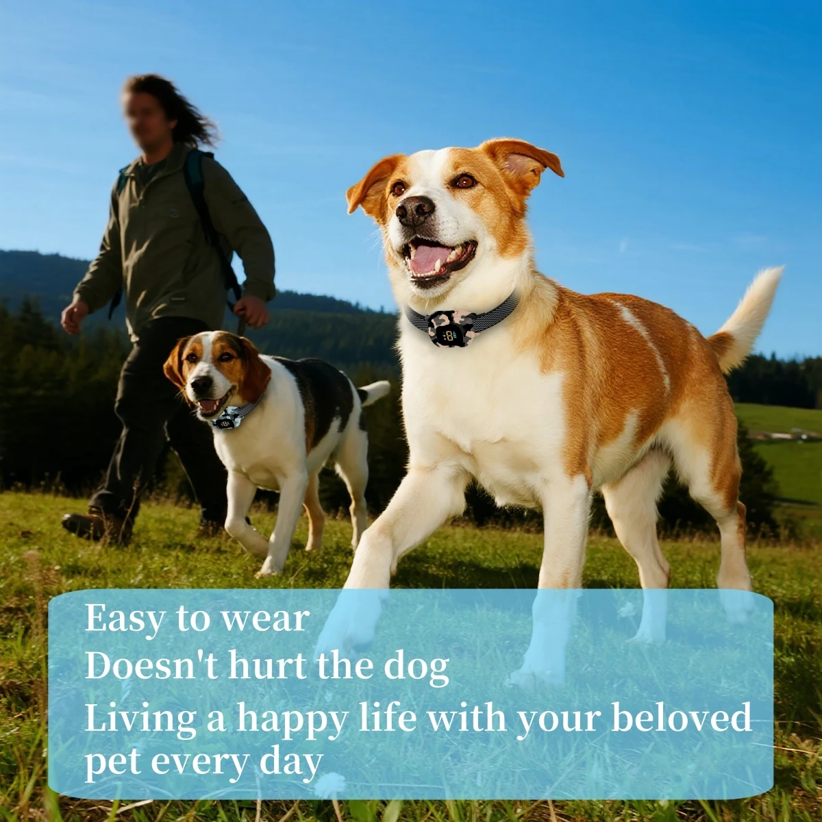 Thumbnail 3 - #53 Latest Dog Training Collars Offers