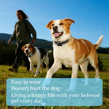 10 best sales קולר נביחות כלבים - №9