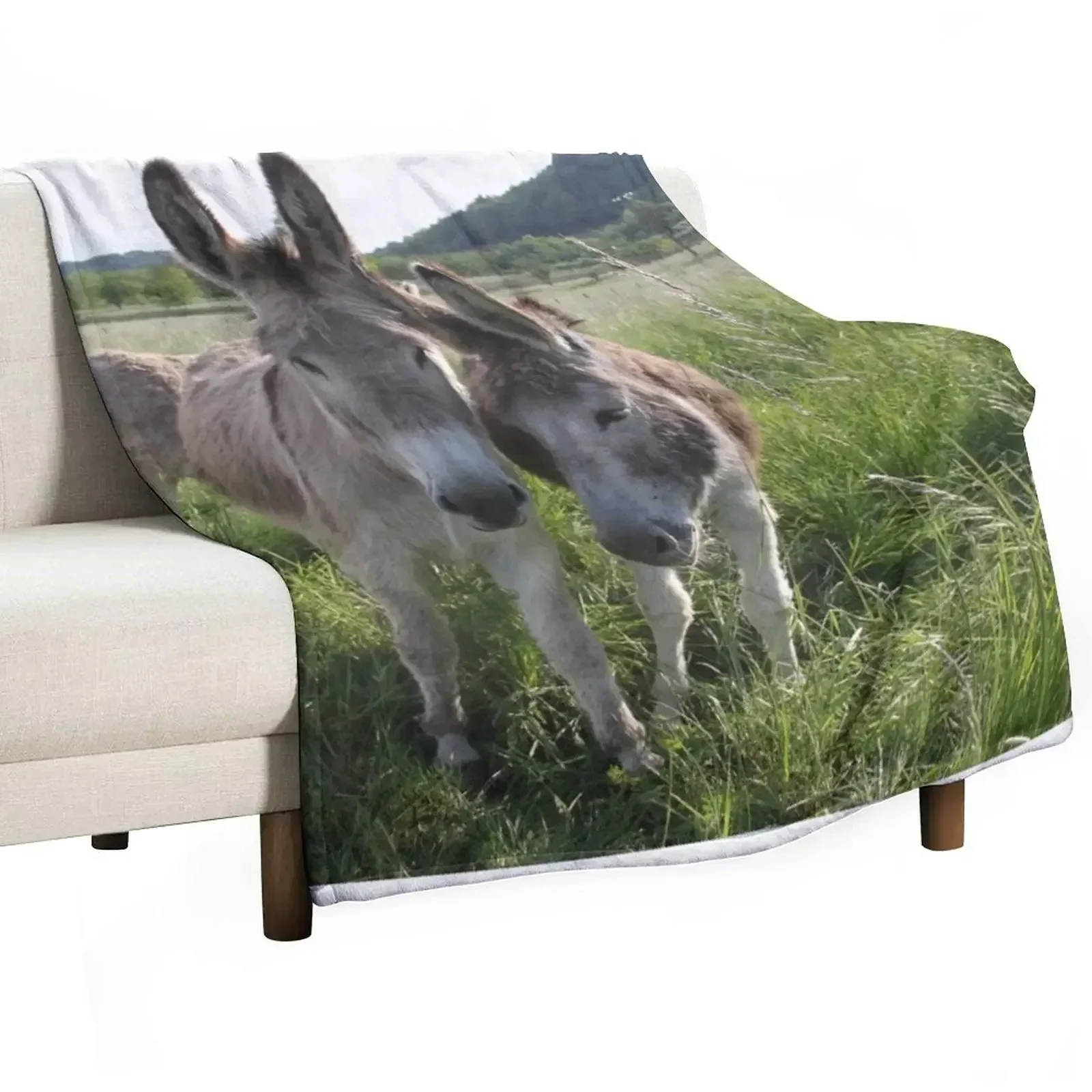 Adorable grey donkeys in the high grass meadow Throw Blanket blankets ands Stuffeds Bed Fashionable Blankets