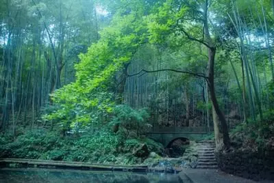 

Аккумулятор для Milwaukee M12, 9.8 Ач, перезаряжаемый, 12В, для инструментов Milwaukee M12, совместим с 48-11-2402, 48-11-2411, 48-11-2401MIL