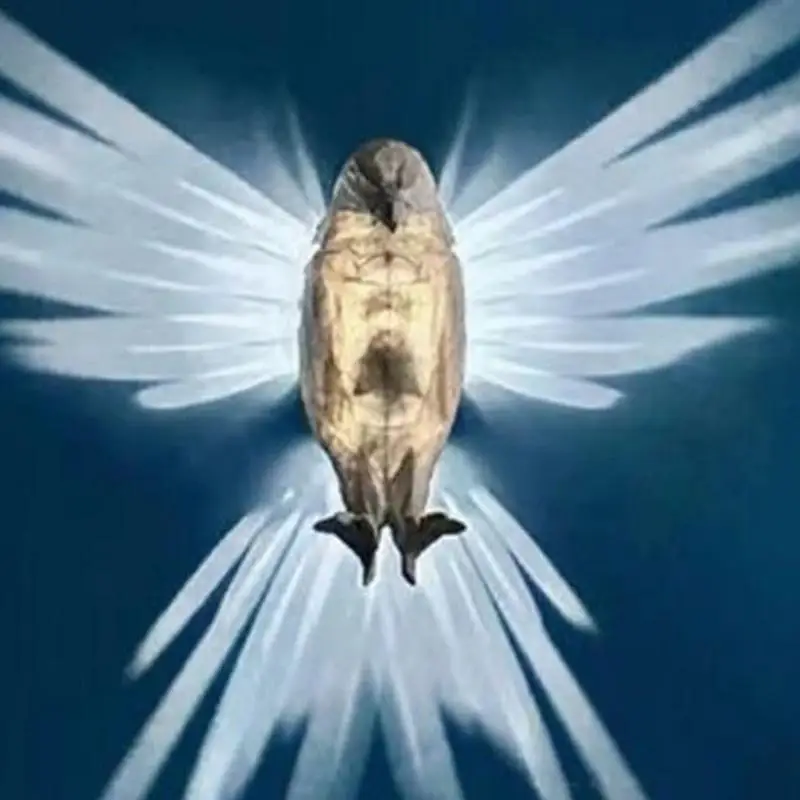 Bird Wall Lamp Halloween Owl Eagle Shape Projector Modern Creative Atmosphere 3D Print Animal Lighting Wall Light Christmas gift