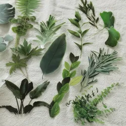 40pcs Fern Leaves Large Size Transparent PET Vintage Stickers Scrapbook DIY Plants Sticker Craft Junk Journaling Scrapbooking