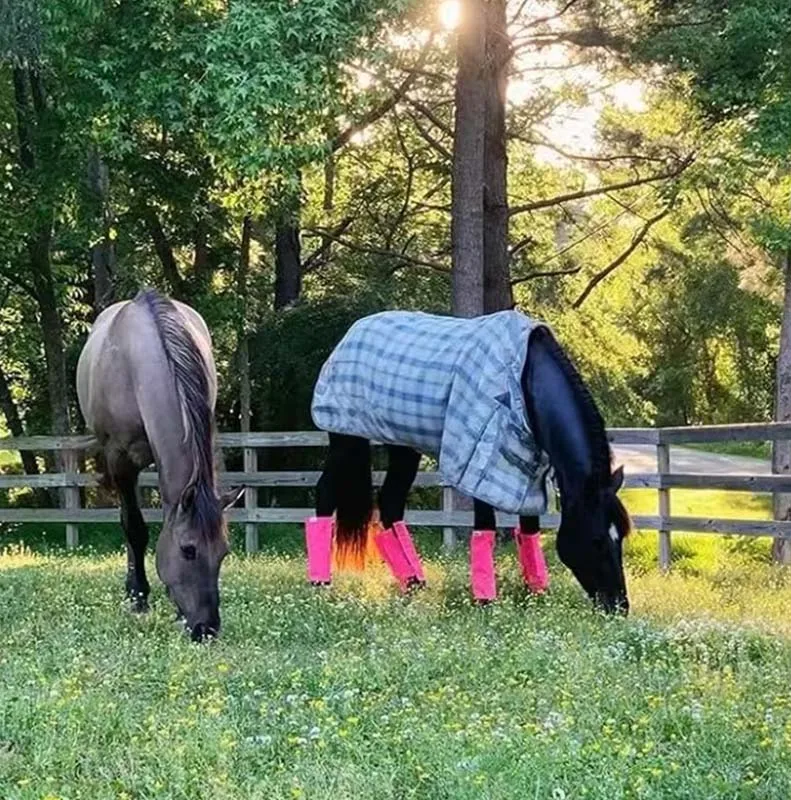 4 Stück atmungsaktiver Pferdes tiefel zur Verhinderung von Fliegen Schutz pferd Bein wickel Fliegens tiefel für Pferde Mesh Horse Fly Leggings Teile