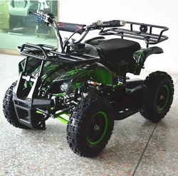 49cc 2-stroke Atv Mini Coad Bike with Single Cylinder Air-cooled Motorcycle with Disc Brakes for Kids