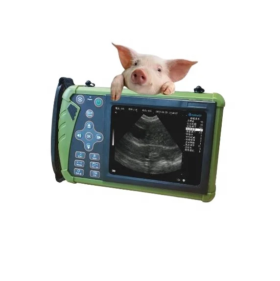 Vet Veterinary Ultrasound Scanner Portable Ultrasound Machine with CE