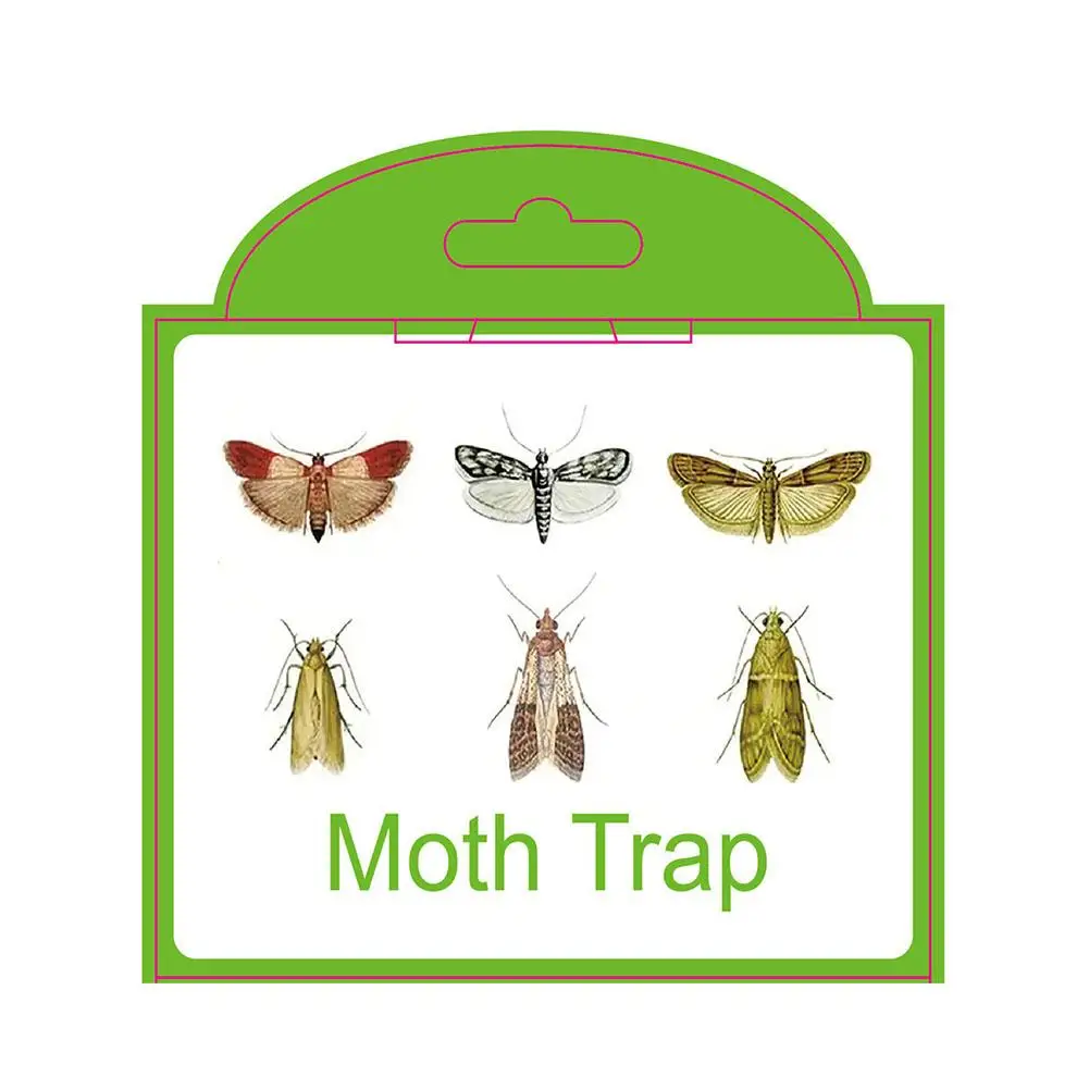 1pc Pantry Clothes Moth Trap Pheromone Moth Traps Fly Control Moth Garden Kitchen Sticky Pest Food Home Traps Dropshipping F7G9