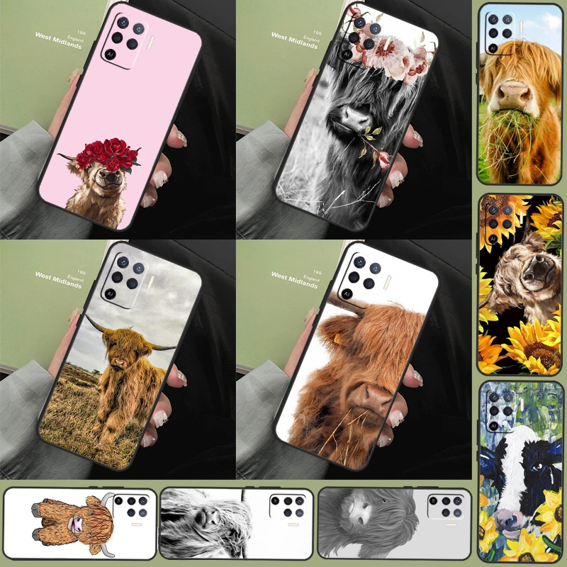 Cute Highland Cow C…