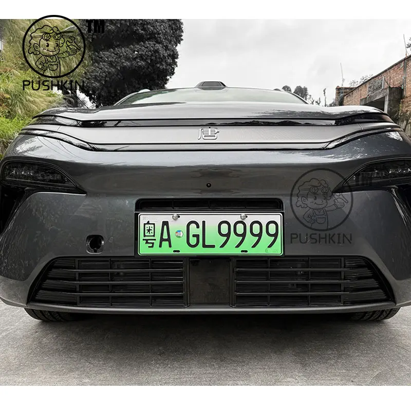 Für BYD Sealion 8 ATTO 8 Tang L 2025 2026 Auto Insekten Beweis Net Schutzhülle Front Stoßstange Staub-proof grille Abdeckung Auto Zubehör