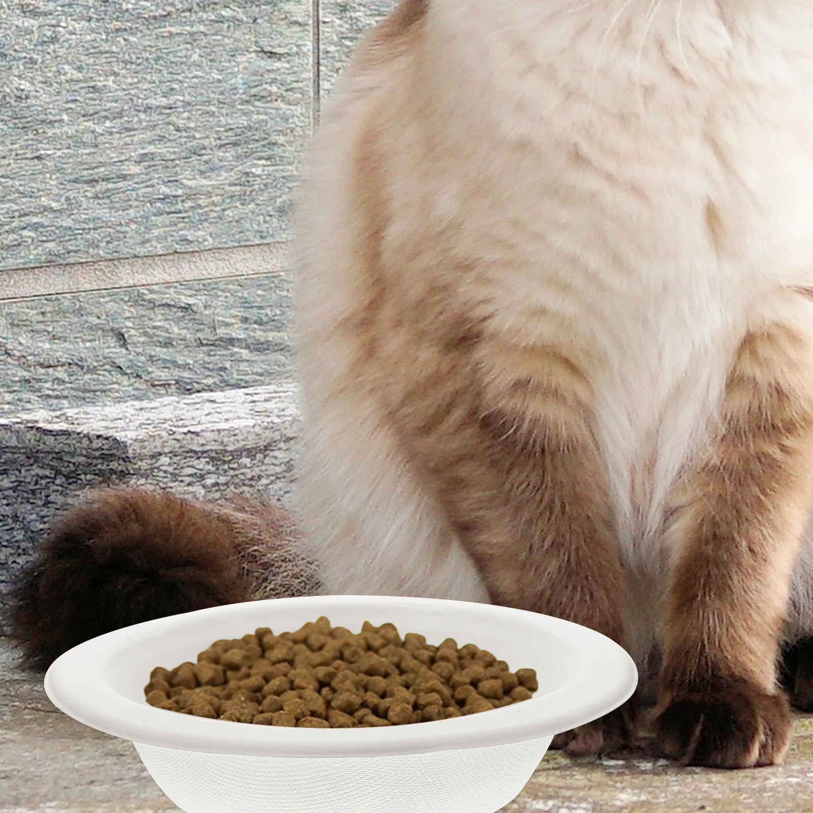 

20pcs Disposable Cat Pet Food Utensils Puppy Holders Outdoor Cats Kitten Paper Bowls Safety Practical Multi Function Cat Bowls