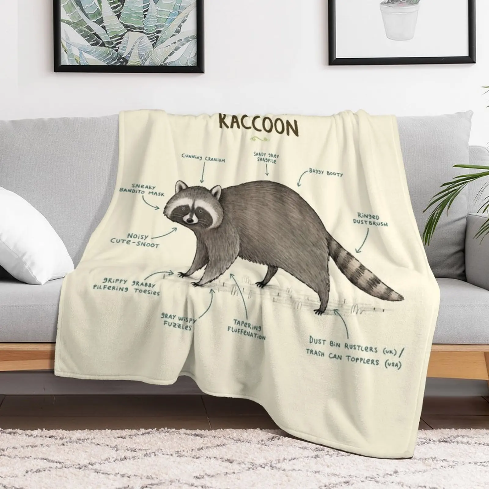 Anatomy of a Raccoon Throw Blanket Portable Lightweight Blanket for Travel Camping