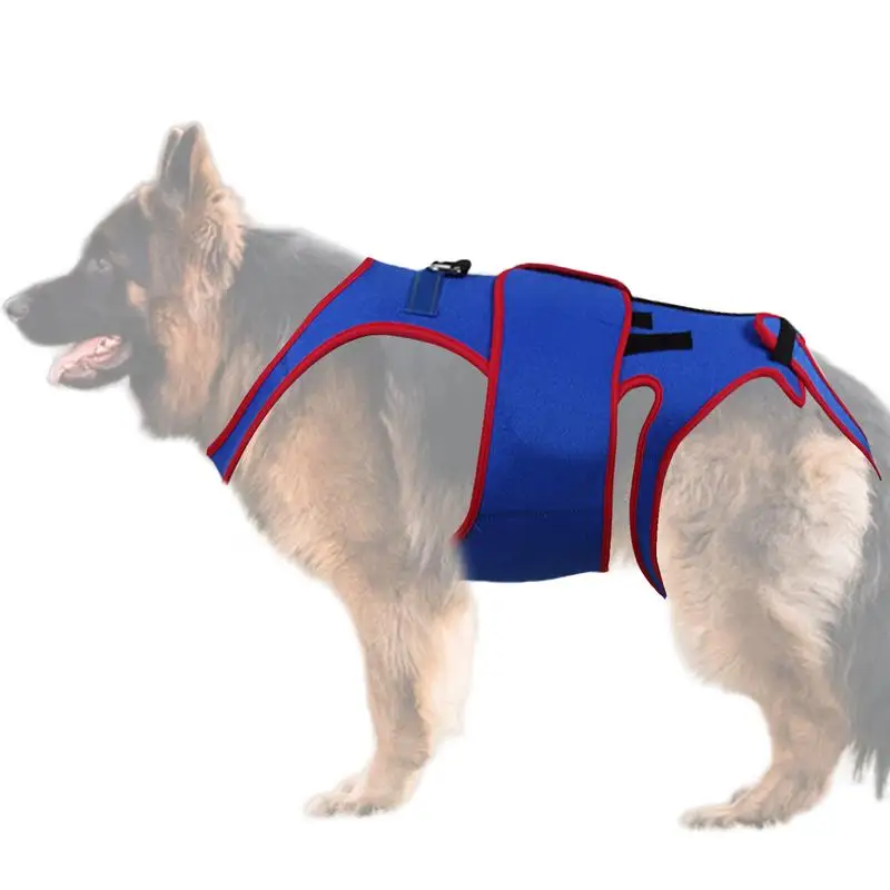 

Hip Brace For Dogs Dogs Back Brace Helps Small Dogs D-ring And Reflective Strips Back Protector Support Helps Hurt Relief Dogs