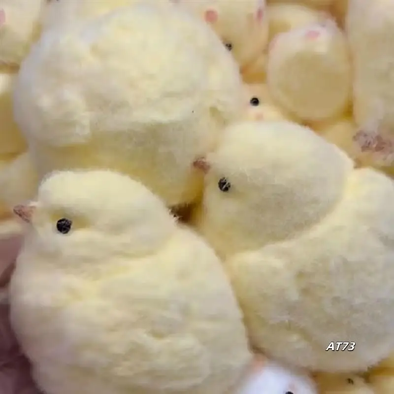 Keai Buatan Tangan Menggaruk Dan Menggosok Hadiah Ayam Silikon Ayam Kuning Kecil