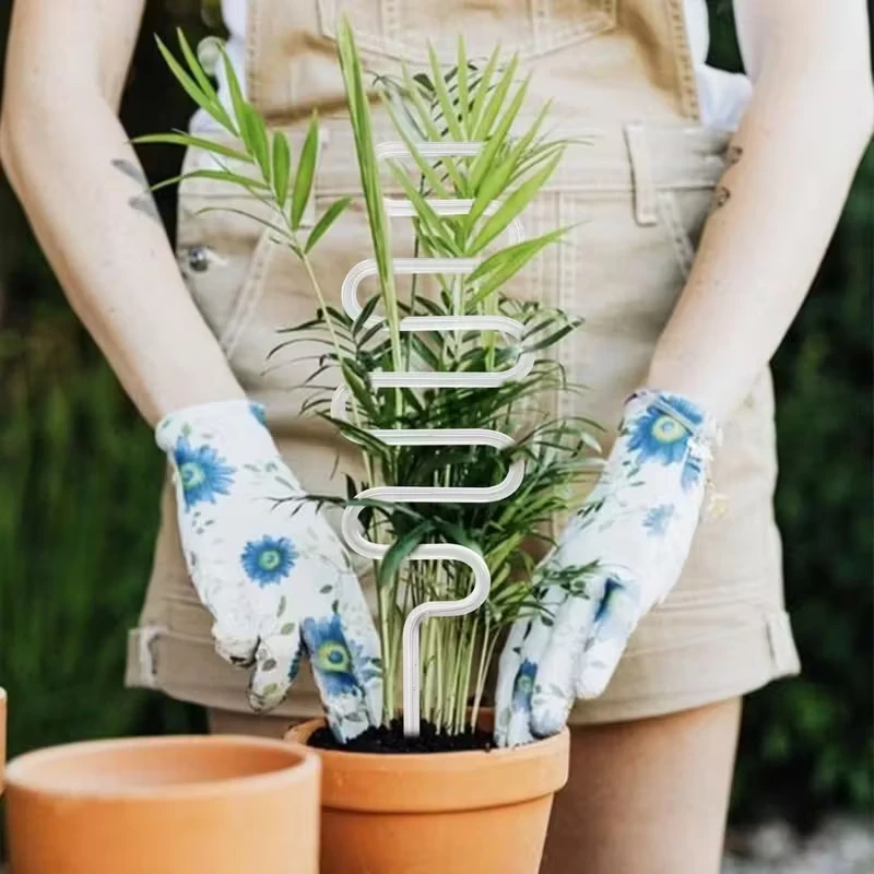 2/4/6/8/10PCS Trans… - image