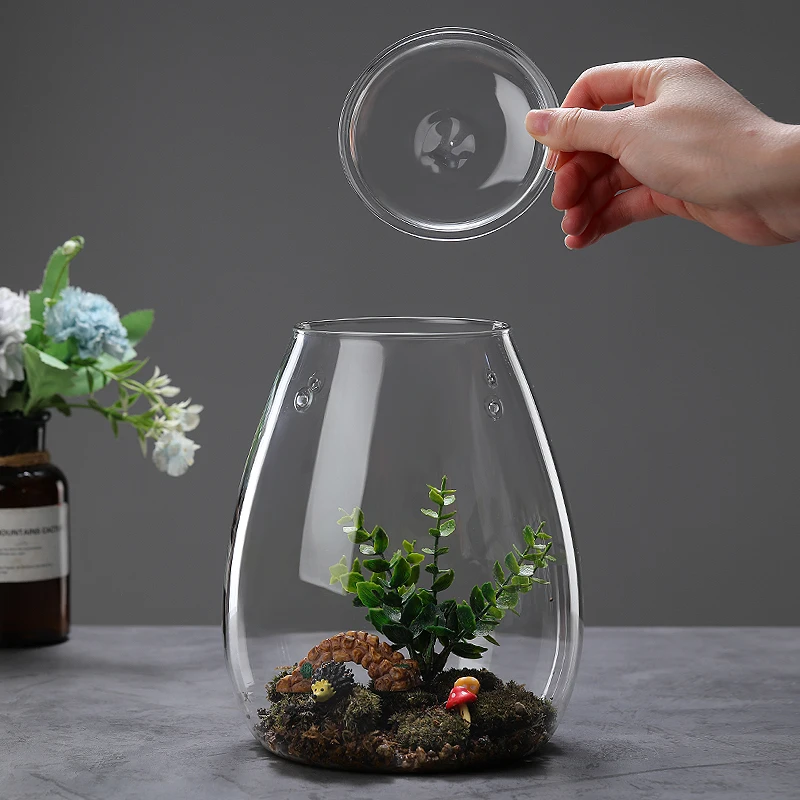 Creative Glass Cover Glass Bottle Moss Vase Hydroponic Fleshy Micro Landscape Glass Terrarium Bonsai Home Decor