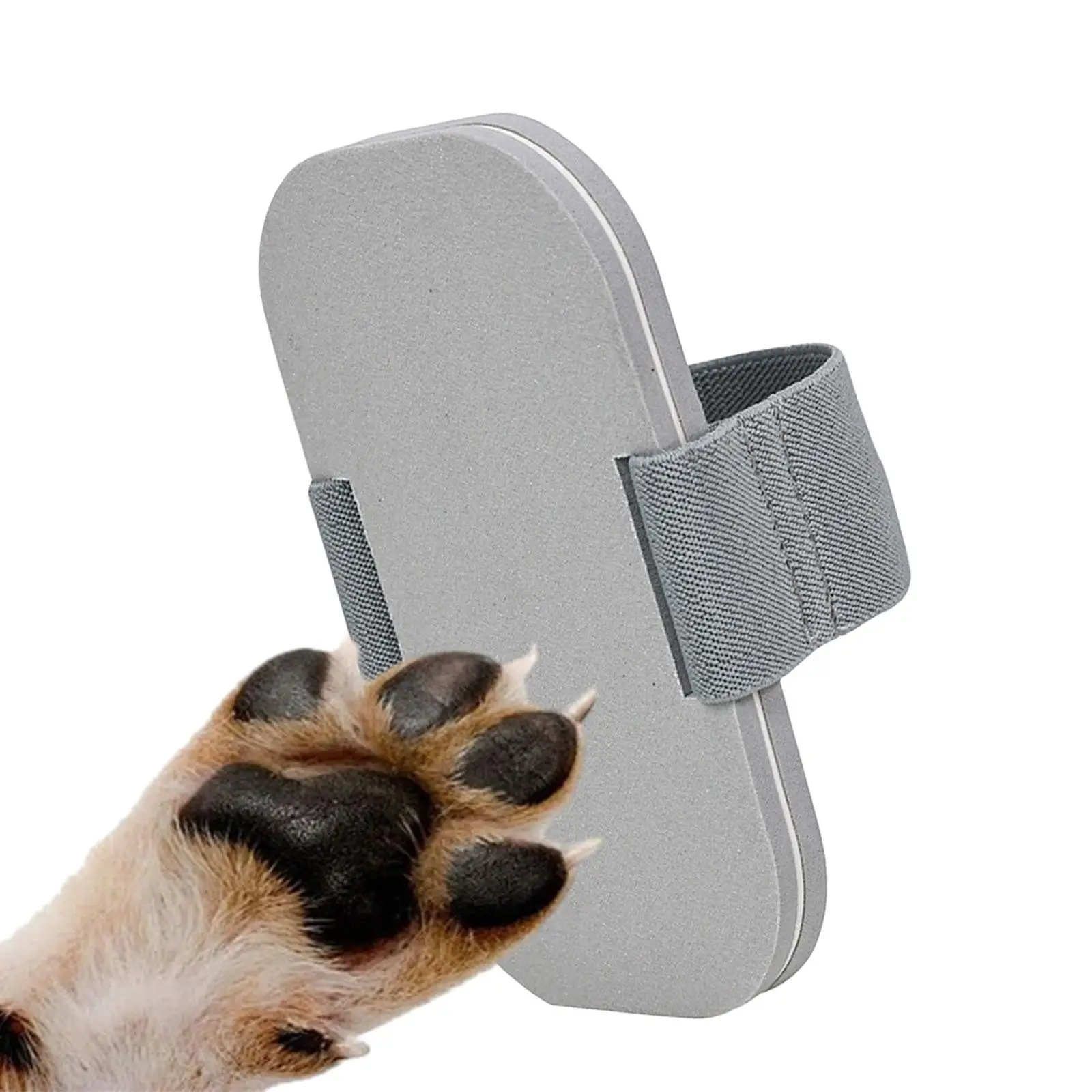 

Dog Nail File Pet Grooming Interactive Grind Claws Dogs Paw Nail Care Pet Claw Care for Indoor Outdoor Small Medium Large Dogs