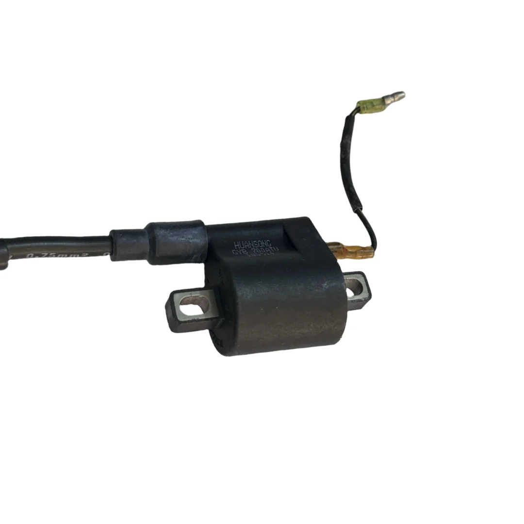 Picture 4: High Pressure Pump,Suitable for HS700ATV