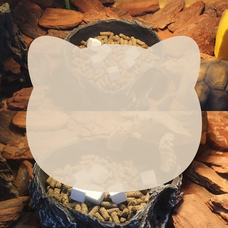 Turtle Calcium Supplement Blocks Slow Release Mineral Blocks For Aquatic Turtle Reptile
