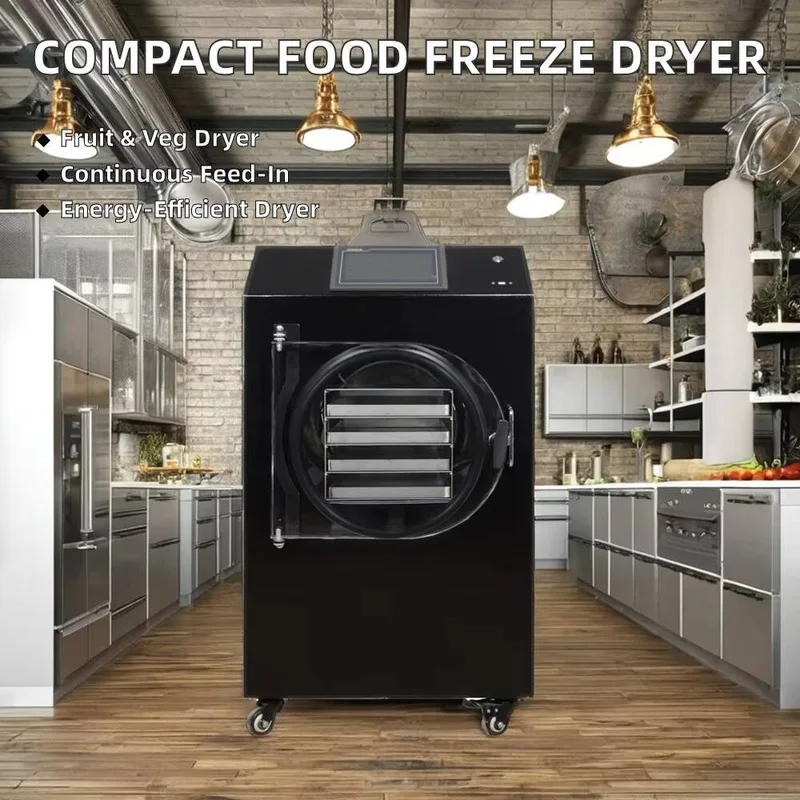 6KG Vacuum Freeze Dryer For Fruits Vegetables Home Use Lyophilizer