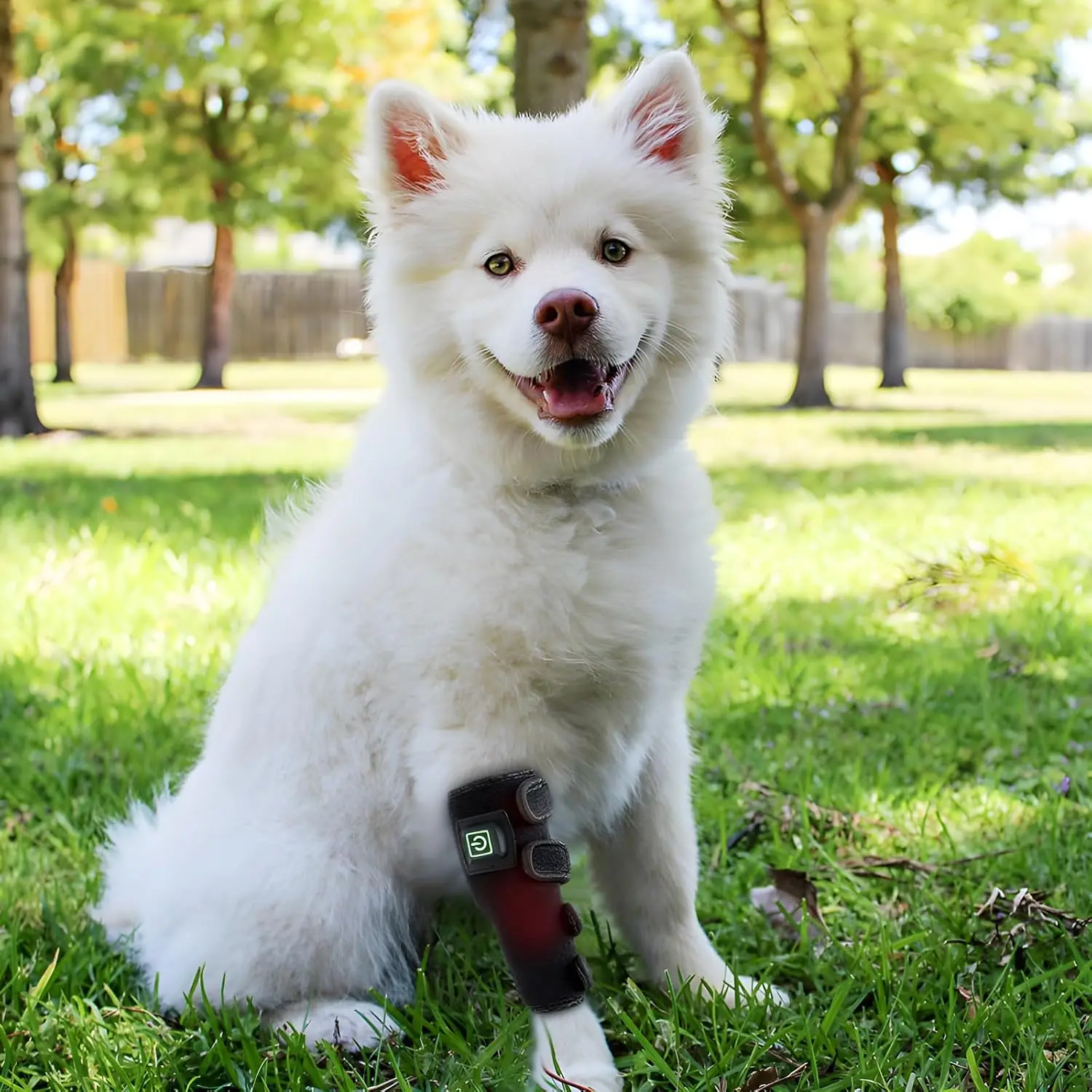 Red Light Therapy Wrap for Pet Leg- 660&850 nm Infrared Healing Light Therapy for Dogs, Cats Muscle & Joint Pain Relief - view 4