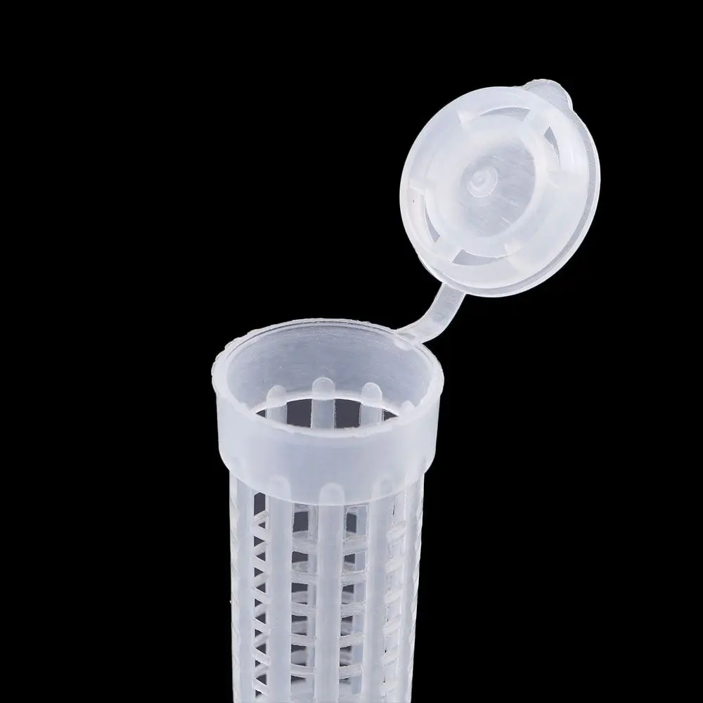 البلاستيك أداة تربية النحل حامل الصندوق الملك النحل الغطاء الواقي النحل تربية كأس النحل الملكة قفص