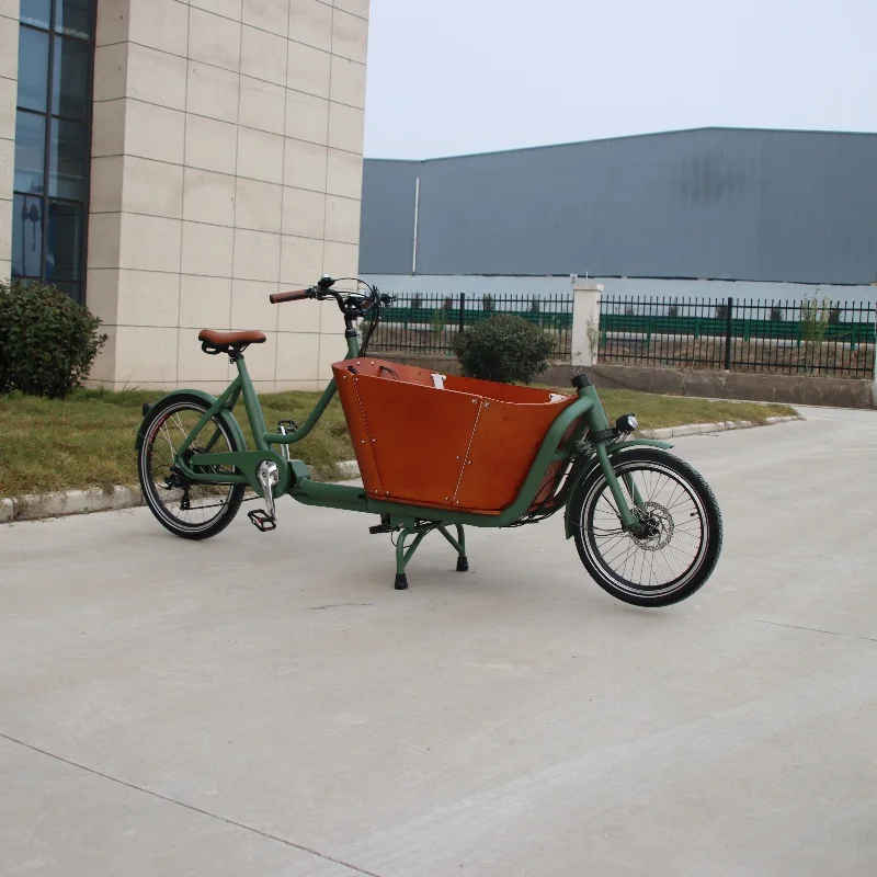 2 Wheel Electric Cargo Bike Netherlands Family Bike OEM Outdoor Transport Ebike Cargo Fat Tire Bicycle Bicycle Cargo