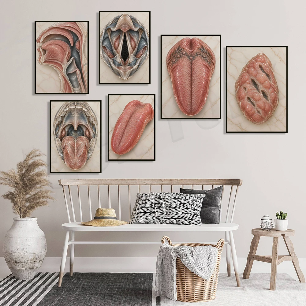 Anatomical art of the tongue (including the larynx, vocal cords, and tonsils) and oral cavity — decor for speech therapy clinics
