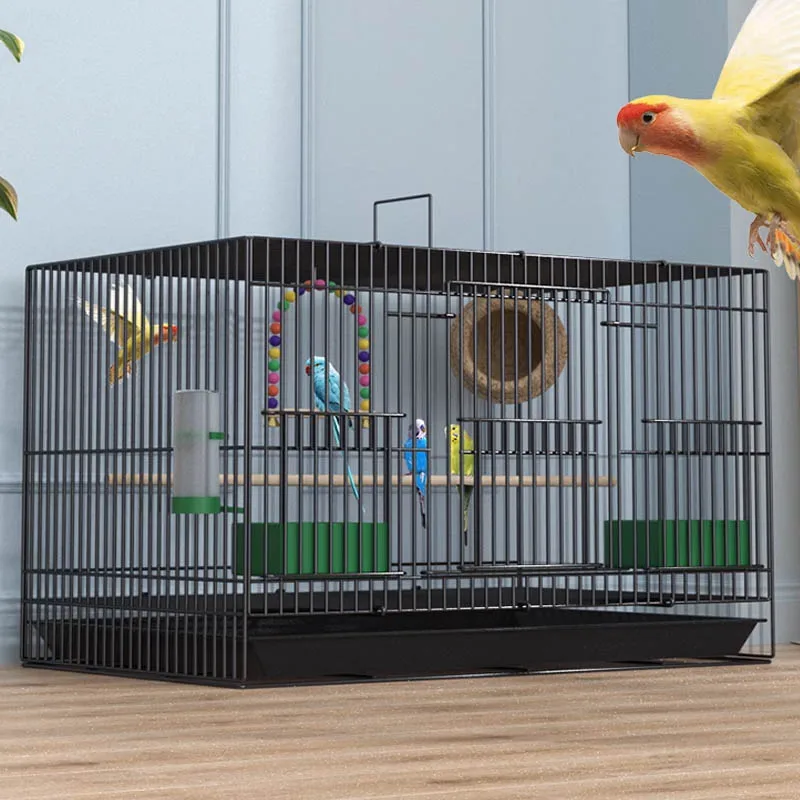 Grand perroquet pliable canaris visualisation élevage antirouille métal animal de compagnie cage à oiseaux nid décoration avec plateau mangeoire support de jeu faisceau Grand perroquet pliable canaris visualisation élevage antirouille métal animal de compagnie cage à oiseaux nid décoration avec plateau mangeoire support de jeu faisceau